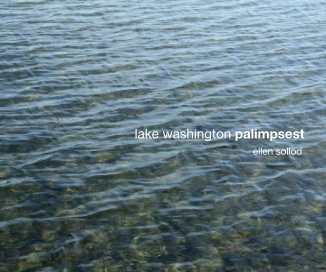 lake washington palimpsest book cover