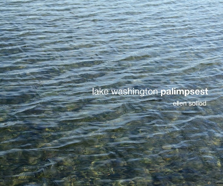 View lake washington palimpsest by Ellen Sollod