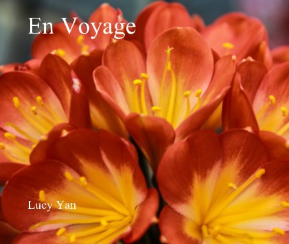 En Voyage book cover