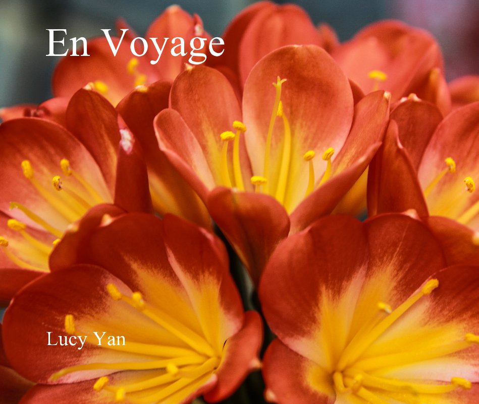 Bekijk En Voyage op Lucy Yan