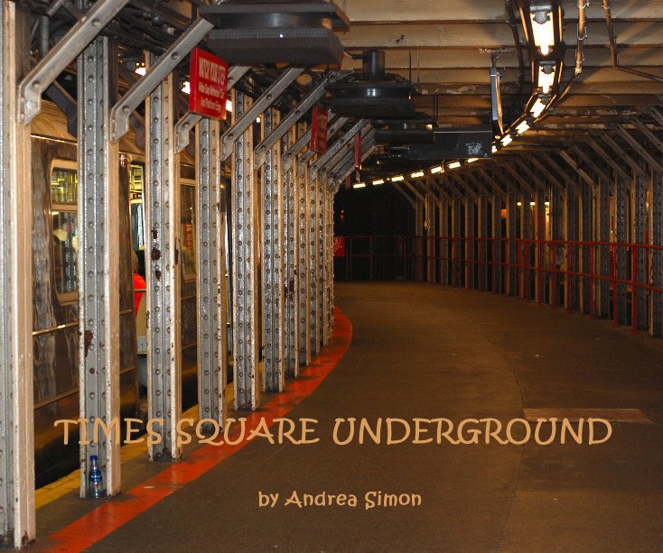 View TIMES SQUARE UNDERGROUND by Andrea Simon