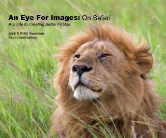 An Eye For Images: On Safari book cover