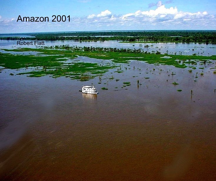 Amazon 2001 nach Robert Flatt anzeigen