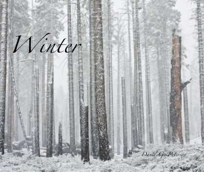 Winter book cover