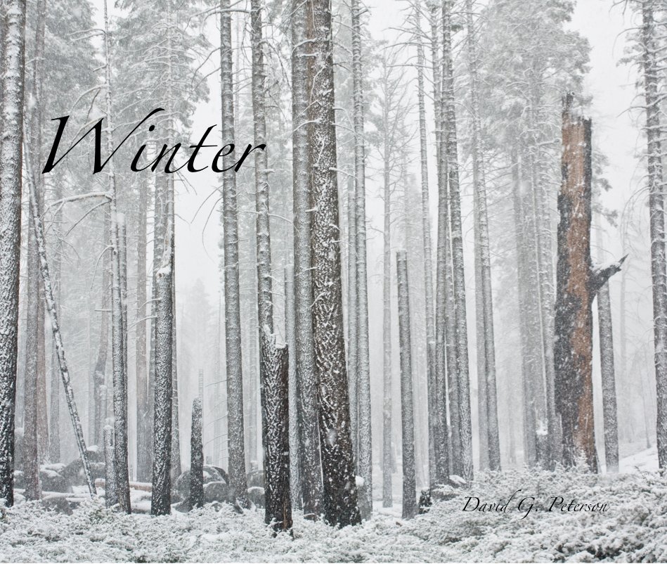Ver Winter por David G. Peterson