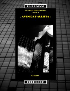 São Paulo, Terra da Garoa - Volume II - Avenida Paulista book cover