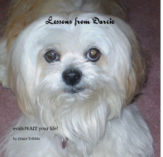 View Lessons from Darcie by Grace Tribble