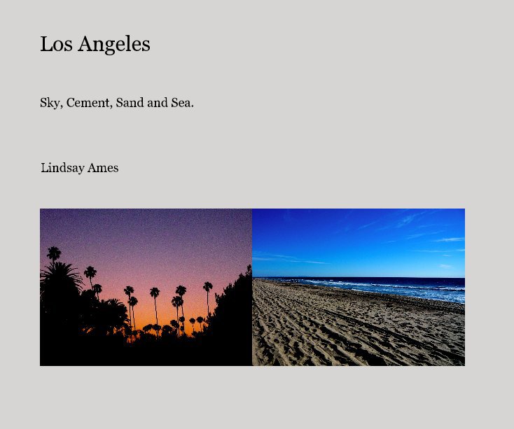 View Los Angeles by Lindsay Ames