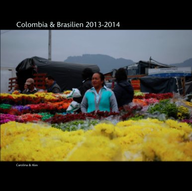 Colombia och Brasilien 2013-2014 book cover