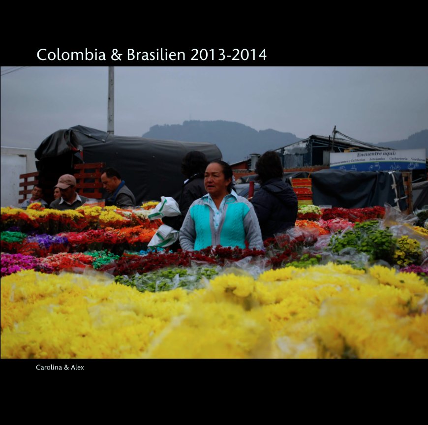 Ver Colombia och Brasilien 2013-2014 por Carolina Anestam