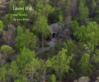 Laurel Hill book cover
