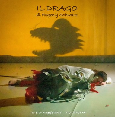 IL DRAGO di Schwarz book cover