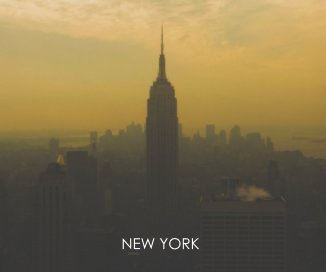 new york (n) book cover
