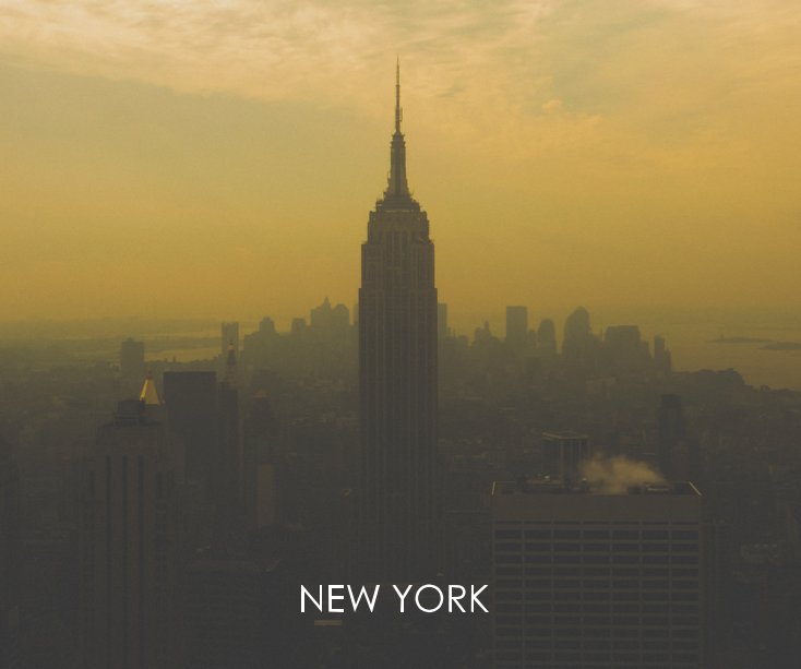 View new york (n) by Ion Markel