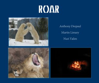 ROAR book cover