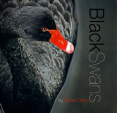 Black Swans book cover