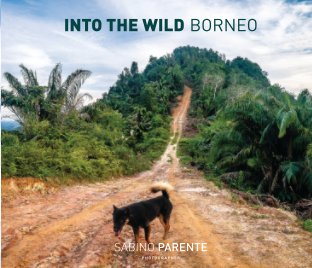 INTO THE WILD BORNEO book cover