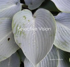 Selective Vision book cover