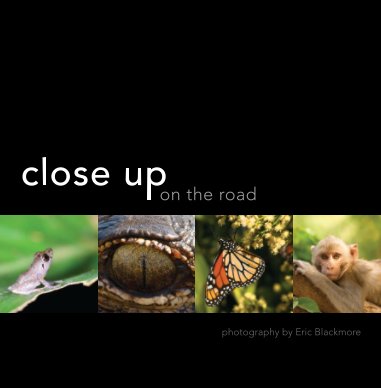 Close Up   On The Road book cover