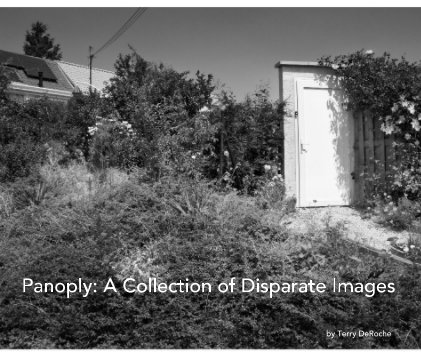 Panoply: A Collection of Disparate Images book cover