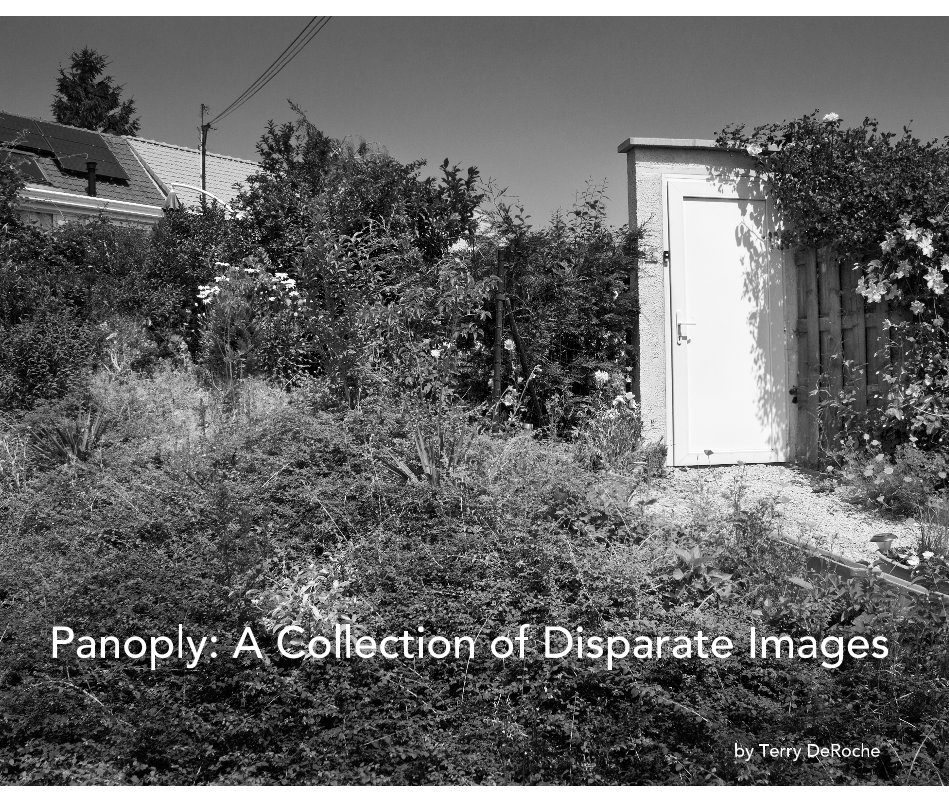 View Panoply: A Collection of Disparate Images by Terry DeRoche