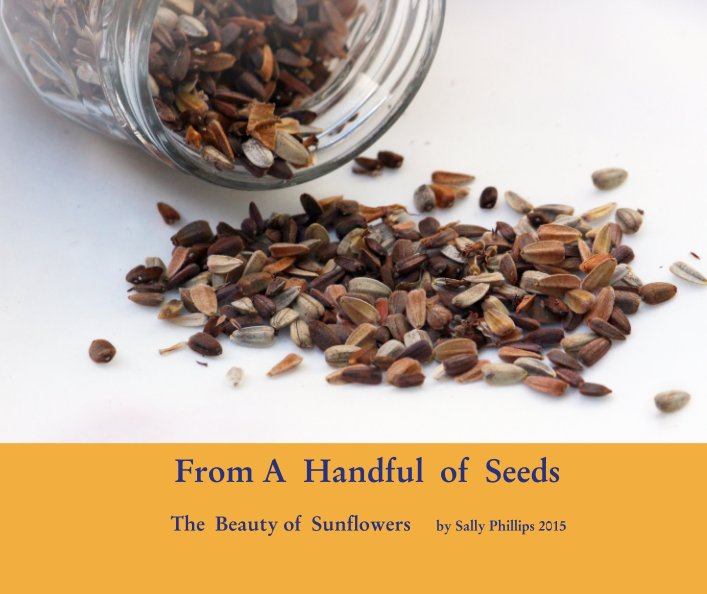 From A  Handful  of  Seeds nach The  Beauty of  Sunflowers     by Sally Phillips 2015 anzeigen