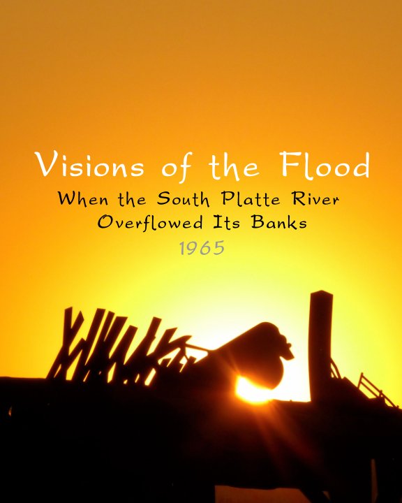 Ver Visions of the Flood 1965 - Commemorative Edition por Pam Roth O'Mara