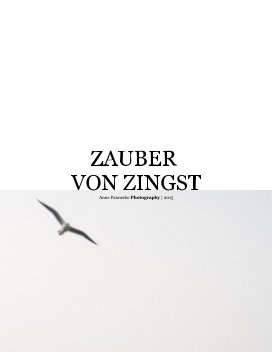 magic of zingst book cover