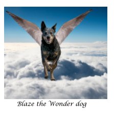 Blaze the Wonder Dog book cover