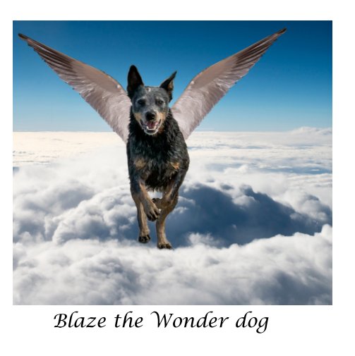 Ver Blaze the Wonder Dog por Yvonne A Hill
