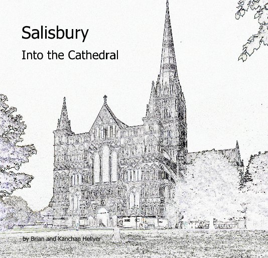 View Salisbury Into the Cathedral by Brian and Kanchan Hellyer