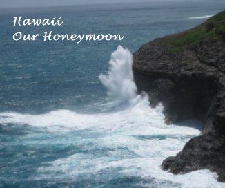 Hawaii Our Honeymoon book cover