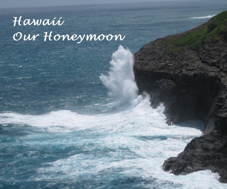 View Hawaii Our Honeymoon by neetarobu