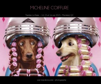 MICHELINE COIFFURE book cover