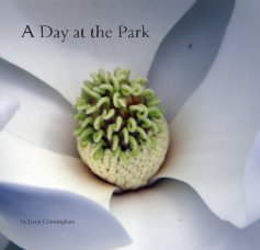 A Day at the Park book cover