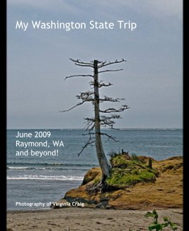 My Washington State Trip book cover