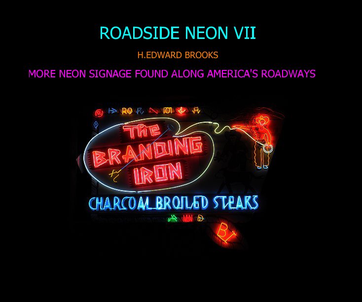 View ROADSIDE NEON VII by H. Edward Brooks