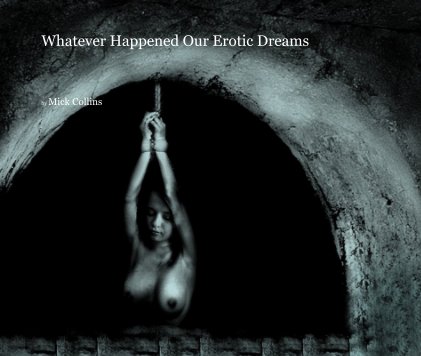 Whatever Happened Our Erotic Dreams book cover