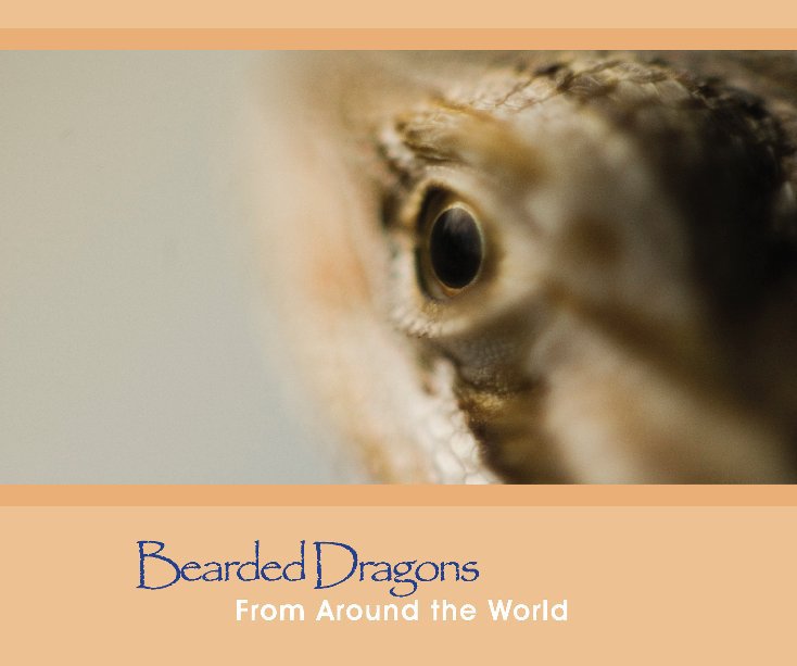 View Bearded Dragons by Veronica Reilly