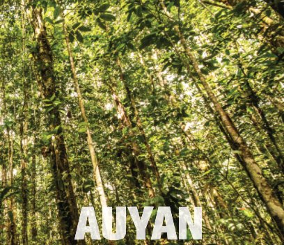 AUYAN book cover