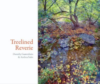 Treelined Reverie book cover
