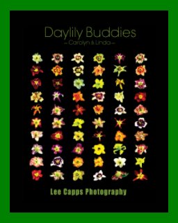 Daylily Buddies book cover