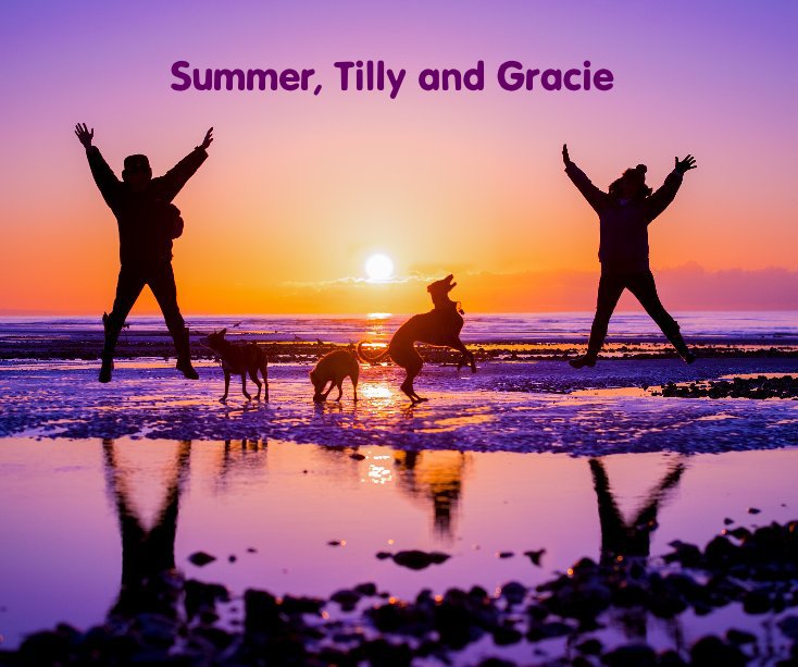View Summer, Tilly and Gracie by Rhian White, Brighton Dog Photography