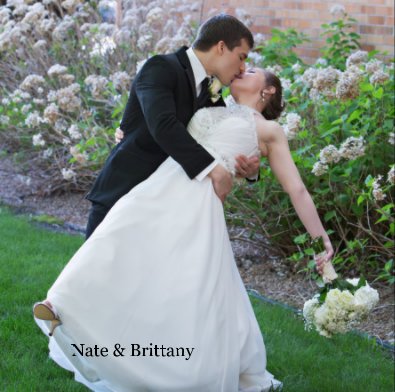 Nate & Brittany 2 book cover