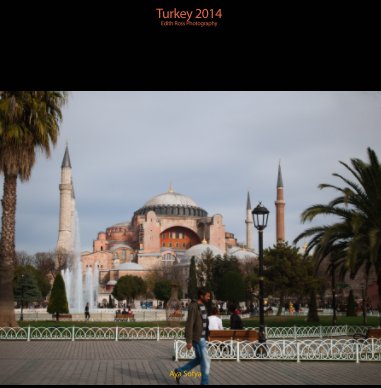 Turkey 2014 book cover