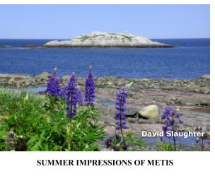 SUMMER IMPRESSIONS OF METIS book cover