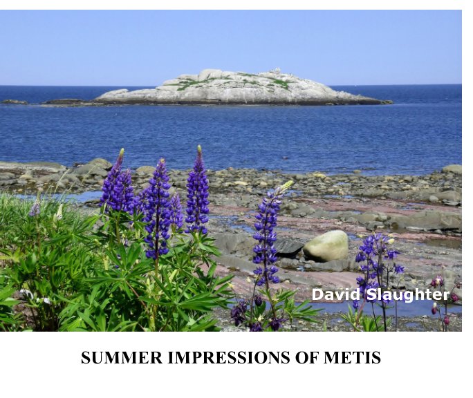 View SUMMER IMPRESSIONS OF METIS by David Slaughter