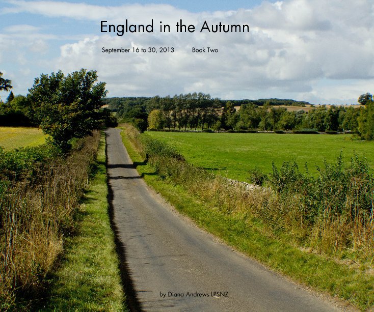 View England in the Autumn by Diana Andrews LPSNZ
