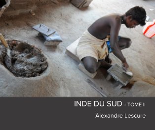 INDE DU SUD - TOME II book cover