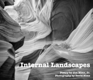Internal Landscapes book cover